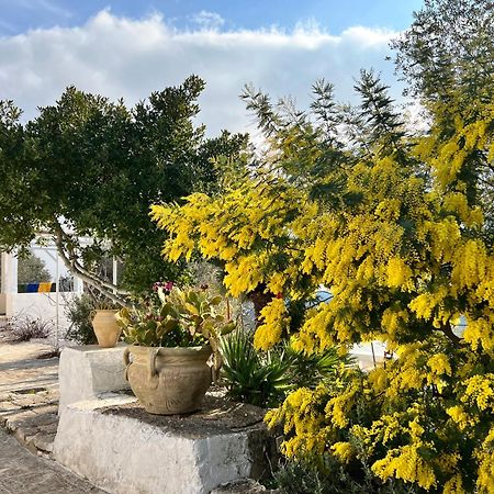 Syconium Trullo And Lamia Gea Charme And History Hotel Ostuni Exterior foto
