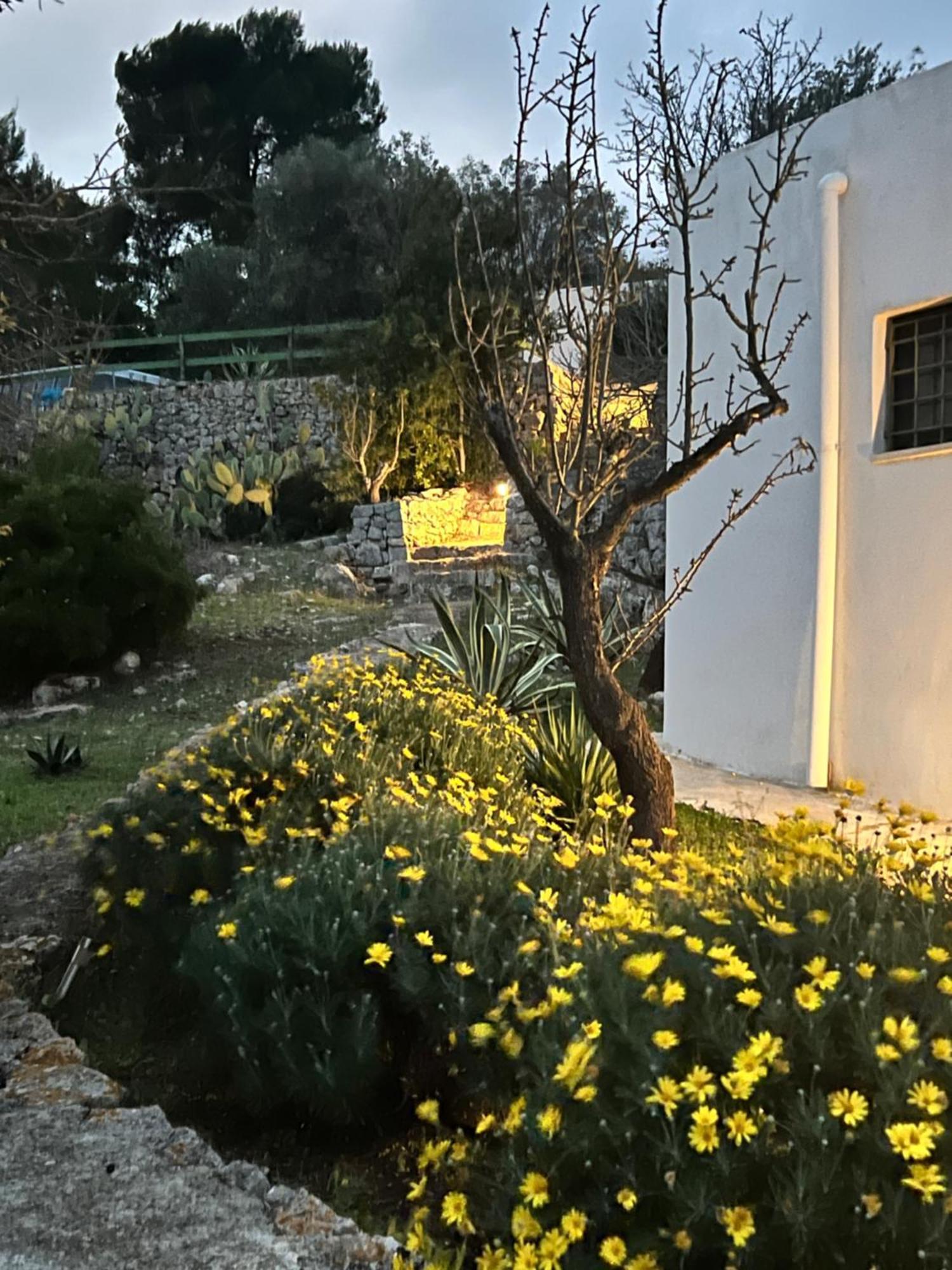 Syconium Trullo And Lamia Gea Charme And History Hotel Ostuni Exterior foto