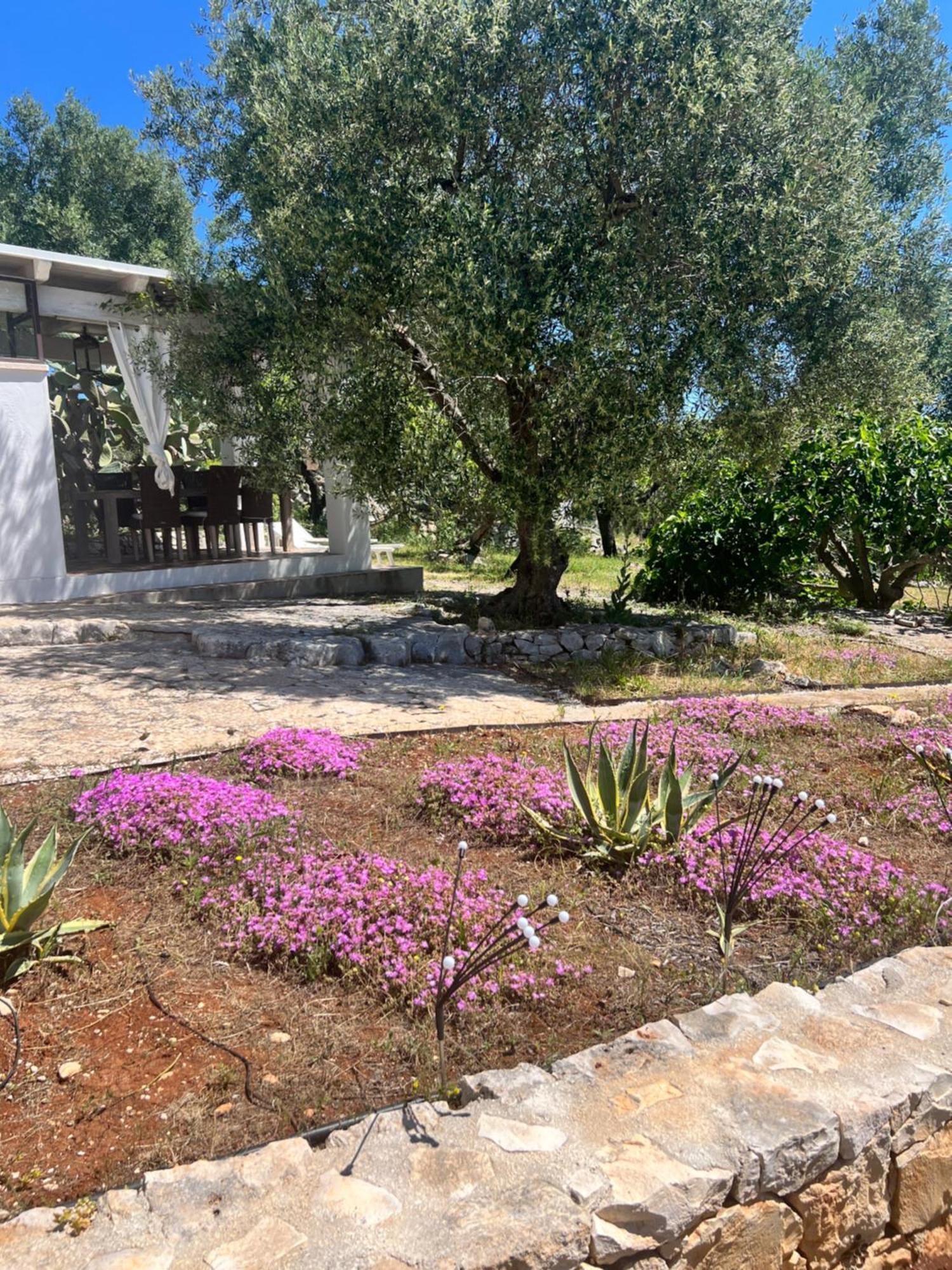 Syconium Trullo And Lamia Gea Charme And History Hotel Ostuni Exterior foto